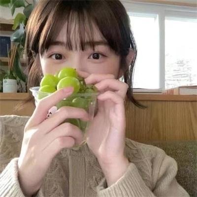 学园孤岛 真人版